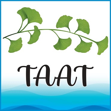 Taat Massaggi